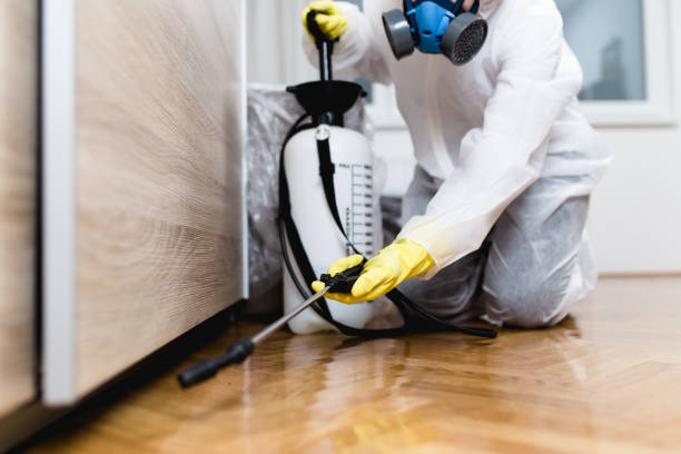 Best Affordable Pest Control Services  in Gold Beach, OR