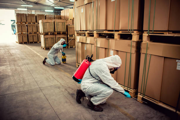 Best Affordable Pest Control Services  in Gold Beach, OR