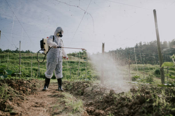 Best Mosquito Control Services  in Gold Beach, OR