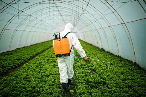 Best Pest Removal Services  in Gold Beach, OR