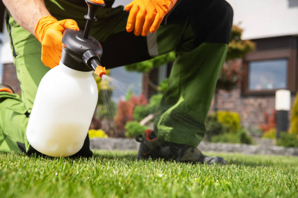 Pest Control Cost in Gold Beach, OR