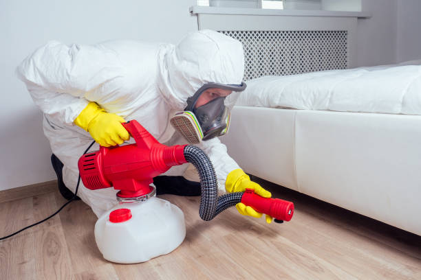 Best Local Pest Control Services  in Gold Beach, OR