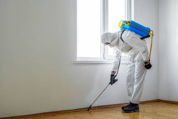 Best Flea Control Services  in Gold Beach, OR