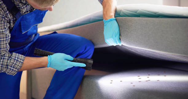 Best Bed Bug Extermination  in Gold Beach, OR