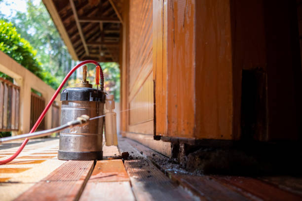 Best Pest Prevention Services  in Gold Beach, OR