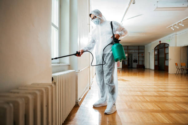 Flea Control Services in Gold Beach, OR
