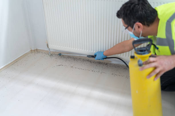 Best Pest Removal Services  in Gold Beach, OR