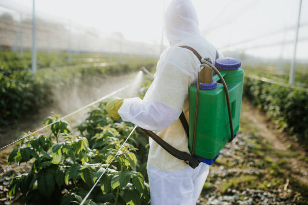 Best Wildlife Control Services  in Gold Beach, OR